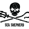 d46e1-ss_jr_logo_black